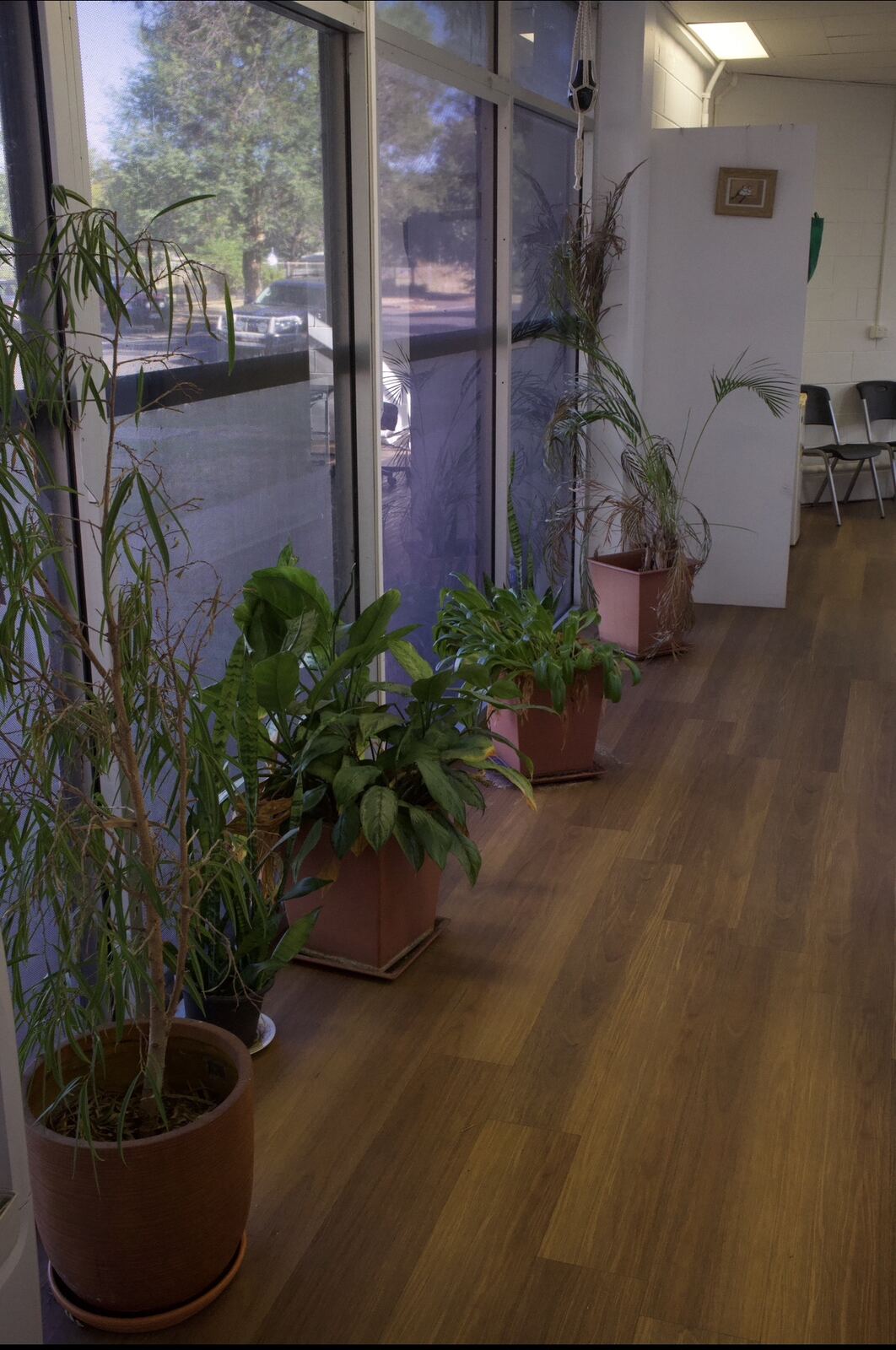 Clinic hallway at Top End Chiro