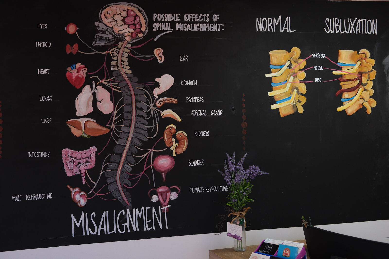 Top End Chiro — chiropractic clinic in Katherine NT